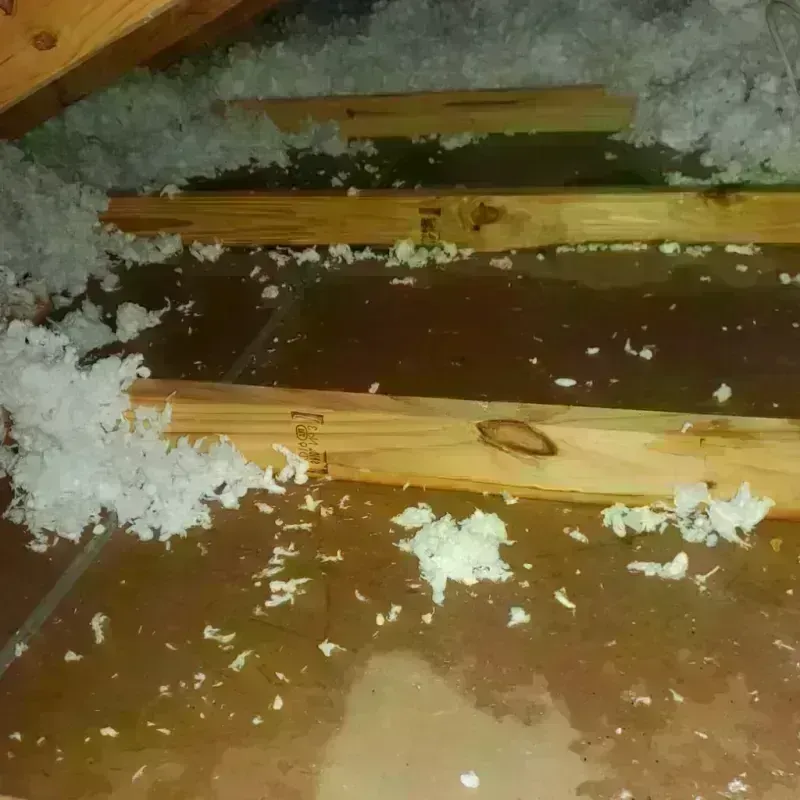 Attic Water Damage in Draper, UT