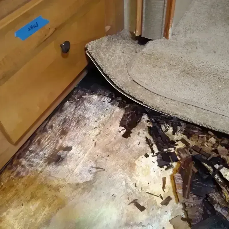 Wood Floor Water Damage in Draper, UT